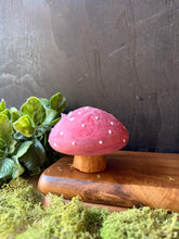 Load image into Gallery viewer, Fairy Grove Mushies