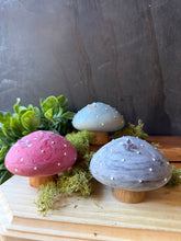 Load image into Gallery viewer, Fairy Grove Mushies