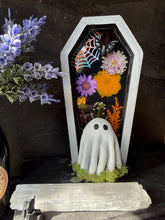 Load image into Gallery viewer, Ghost of the Midnight Garden