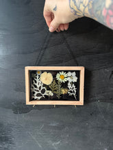 Load image into Gallery viewer, Midnight fields accessory holder