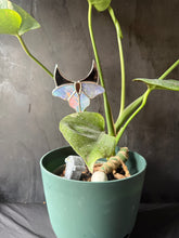Load image into Gallery viewer, Holographic moth plant stake