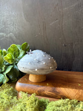 Load image into Gallery viewer, Fairy Grove Mushies