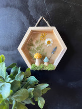 Load image into Gallery viewer, Pixie shadow box