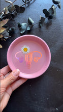 Load image into Gallery viewer, Uterus tray