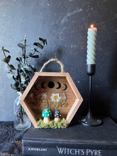 Load image into Gallery viewer, Serenity shadow box