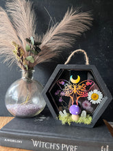 Load image into Gallery viewer, Trixie shadow box