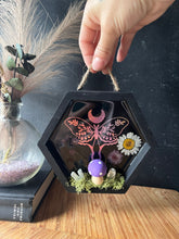 Load image into Gallery viewer, Trixie shadow box