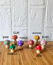 Load image into Gallery viewer, Trixie shadow box