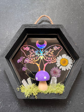 Load image into Gallery viewer, Trixie shadow box