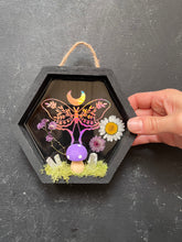 Load image into Gallery viewer, Trixie shadow box