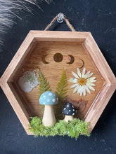 Load image into Gallery viewer, Wren shadow box