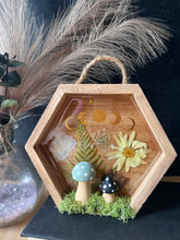 Load image into Gallery viewer, Wren shadow box