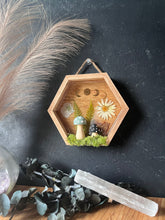 Load image into Gallery viewer, Wren shadow box