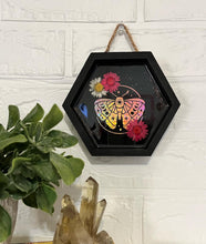 Load image into Gallery viewer, Celestial moth shadow box