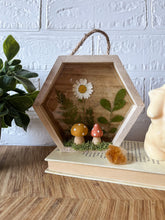 Load image into Gallery viewer, Pixie shadow box