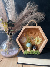 Load image into Gallery viewer, Wren shadow box