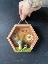 Load image into Gallery viewer, Wren shadow box