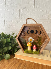 Load image into Gallery viewer, Serenity shadow box