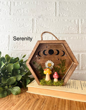 Load image into Gallery viewer, Best Sellers bundle-Large