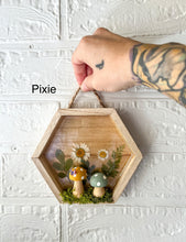 Load image into Gallery viewer, Best Sellers bundle-Large