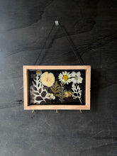 Load image into Gallery viewer, Midnight fields accessory holder
