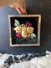 Load image into Gallery viewer, Mystic beetle wall decor
