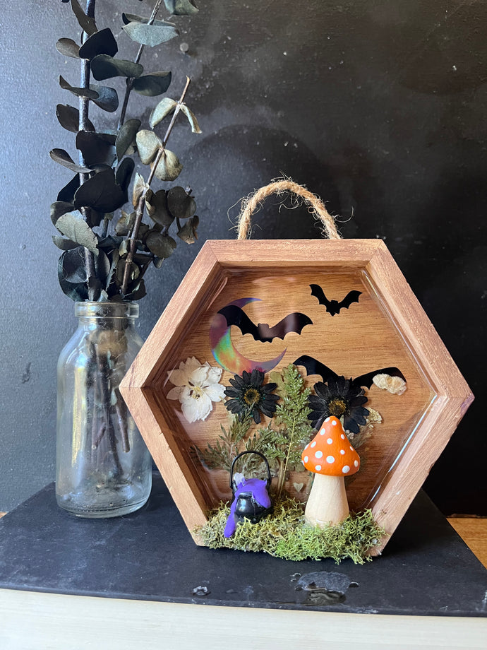 Witches brew shadow box