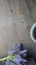 Load and play video in Gallery viewer, Nocturnal Garden Hanging
