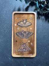 Load image into Gallery viewer, Amara moth tray
