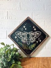 Load image into Gallery viewer, Mystic moth wall decor
